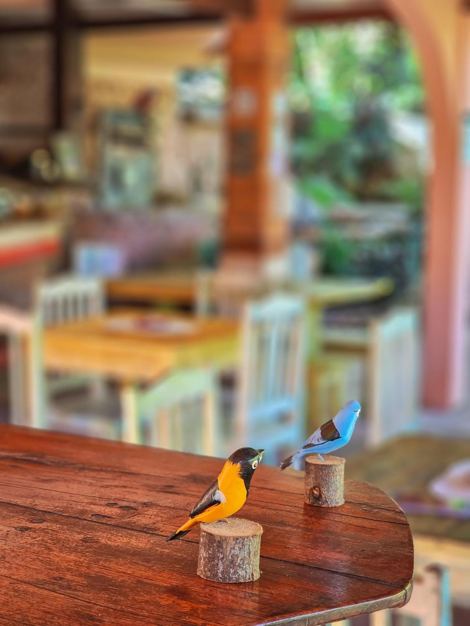 Canto Verde Pousada レンソイス エクステリア 写真
